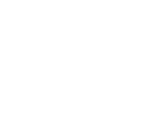 KISS Foundation Logo